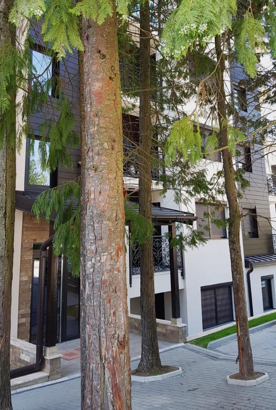 Apartman 11 Breza Zlatibor Luaran gambar